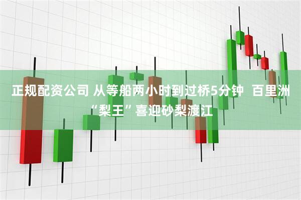 正规配资公司 从等船两小时到过桥5分钟  百里洲“梨王”喜迎砂梨渡江